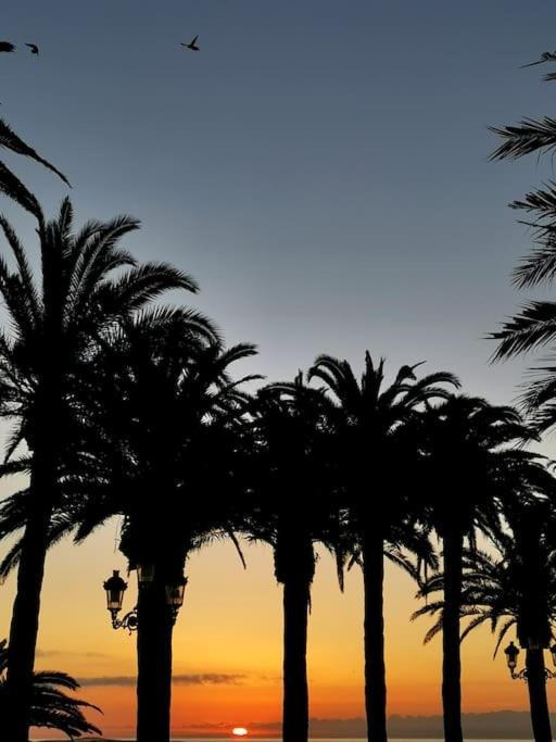 Luminoso Atico Cerca De La Playa Con Piscina Y Garaje Appartement *